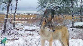 The Singing Wilderness summer to fall in the Northwoods [upl. by Minta79]