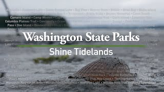 Shine Tidelands State Park [upl. by Ardnua]