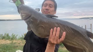 Big Catfish out of Lake Mendota at Marshall Park [upl. by Trescha]