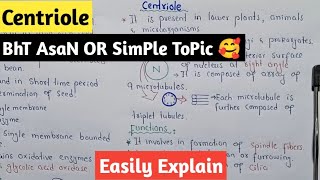 Centriole Structure And Functions  Microtubules  Class 11 Biology [upl. by Ecirahs]