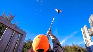 INSANE Nebraska Pheasant Hunting 2017 [upl. by Baalman]