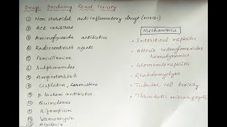 Renal Toxicity toxicity kidney kidneyhealth pharmacology [upl. by Eimareg]