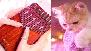 Dynamite BTS  Kalimba cover [upl. by Assilla]