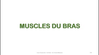 Myologie  Les muscles du bras [upl. by Enelyk]