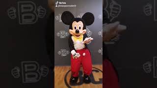 TIK TOKS POPULARES BOTARGA MICKEY MOUSE BAILANDO 😍🤩❤  MAYO 2020 [upl. by Hniht746]