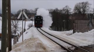 Unterwegs mit der Fichtelbergbahn [upl. by Hras]