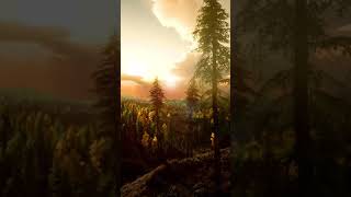 Samsung Galaxy Theme Sunset Forest [upl. by Erleena]