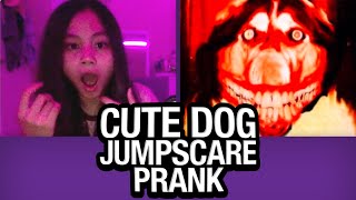 Cute Dog JUMPSCARE PRANK on Omegle [upl. by Renba502]