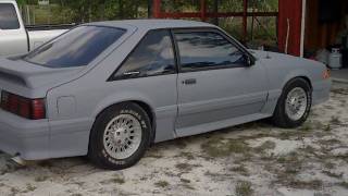 1989 Mustang GT  The Beast aka The Grey Ghost [upl. by Erehpotsirhc]