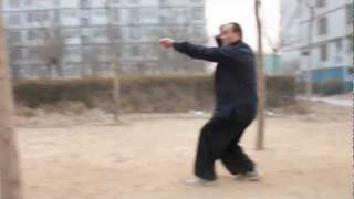 Shang Xing Yi Quan  Yao Xing SparrowHawk style [upl. by Anitsud]