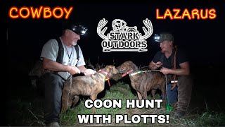 COON HUNTING WITH PLOTTS LAZARUS AND COWBOY [upl. by Edelman]