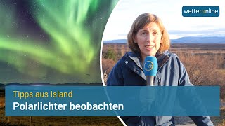 Polarlichter auf Island beobachten [upl. by Maillw478]