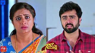 Gowramma Serial Promo  14th December 2021  Gowramma Telugu Serial  Mallemalatv [upl. by Inig951]