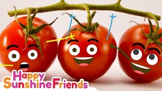 Potato Tomato Song  Educational Video for parents and teachers [upl. by Orola]