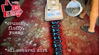 WORKHORSE Fluffy Natural Dirt CRUNCH 🙌🏽🔥❣️  Long Passes  NDQ 🦋 [upl. by Aitat754]