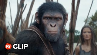 Kingdom of the Planet of the Apes Movie Clip  The Bridge 2024 [upl. by Nnaylloh]