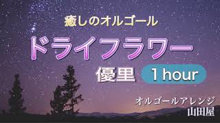 【１時間耐久】ドライフラワー  優里 【オルゴール風】《イヤホン推奨》 [upl. by Karia]