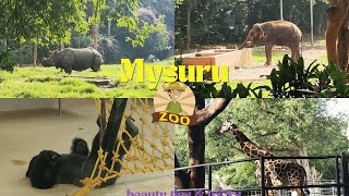 🌍 A Day at Mysore Zoo Wild Encounters amp Conservation Adventures🦁✨ [upl. by Rodman339]