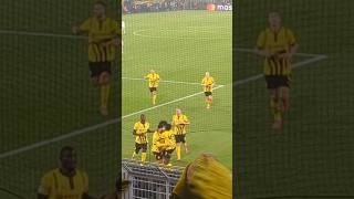 JUBEL nach dem 10 für Dortmund in der championsleague gegen celticfc football soccer bvb [upl. by Nunnery910]