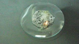 Magnesium silicide and hydrochloric acid at 120fps no sound [upl. by Nuyh]