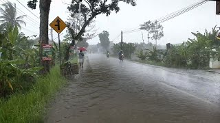 Super heavy rain and strong thunder in my villageThunderstorm fell asleep to the sound of the rain [upl. by Adnaram985]