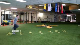 20 Mini Hurdle Drills for Speed Quickness and Agility [upl. by Anivid289]