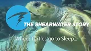 The Shearwater Story [upl. by Aem]