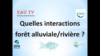 Complement Ep4  Quelles interactions entre foret alluviale et rivière [upl. by Braswell]