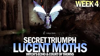 All Lucent Moth Locations Guide  Week 4 Witchs Echo amp Court of Thorns Destiny 2 [upl. by Ahsienod887]