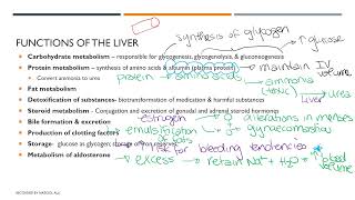 Cirrhosis of the Liver Part 1 [upl. by Saberio]