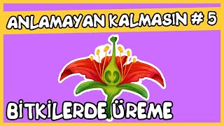 Anlamayan Kalmasın 5 Bitkilerde Üreme [upl. by Hendon877]