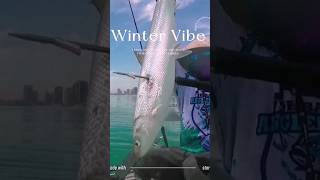 fishing milkfish fishingvideo kayakfishing subscribe fish amazing music song shortvideo [upl. by Yrneh]