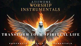 Prophetic Prayer Instrumental  Transform Your Spiritual Life [upl. by Eillit]