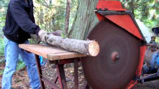 9N with Dearborn Cordwood saw [upl. by Yztim]