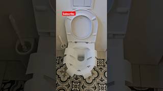 Laufen toilet flushtoiletflush [upl. by Lehctim413]