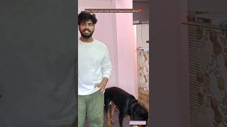 Kuch pyar inke liye bhi baccha ke rakhe❣️  rottweiler dog  JustStandard shortsfeed shortsviral [upl. by Eruza296]