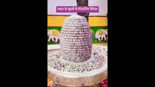 HealthyfyYourself by PragyaRaiमदार के फूलों से decorated भगवान शिव की शिवलिंग अदभुत🙏healthshorts [upl. by Ylagam]