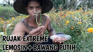 RUJAK EXTREME LEMOSIN [upl. by Neelrahc]