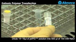 Cationic Polymer Transfection [upl. by Yrellav878]