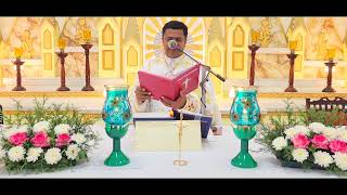 Sunday Holy Mass November 26 I 530 AM I Malayalam I Syro Malabar I Fr Bineesh Augustine [upl. by Nappy]