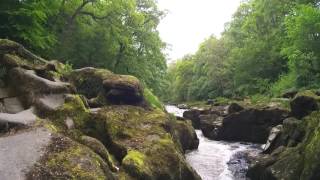 Strid Wood  Bolton Abbey [upl. by Sllew120]