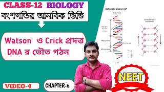 Watson and Crick model of DNA in Bengali ll claaa12 ll WBCHSE ll NEET [upl. by Everett]