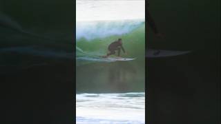 Barrel at first light by Gerard McCallum⚡️🏝️🏄‍♂️ surf surfer surfing barrel tube swellevent [upl. by Ennairb]