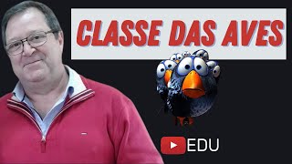 Classe das AVES  Biologia com o professor STROBINO [upl. by Ihcehcu]