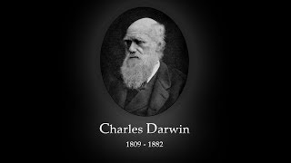 Documentário O Gênio De Charles Darwin  Ep3 1850 Legendado [upl. by Ronald794]