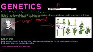 Gr 12 Life Sciences Genetics and Inheritance Part 1 [upl. by Runck]