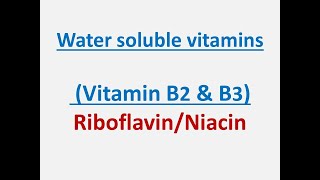 What is Vitamin B2 amp B3 riboflavin niacin whatisvitamin [upl. by Chrysa]