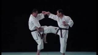 Seiyenchin Bunkai Shito Ryu ShitoKai Seienchin [upl. by Tedman]