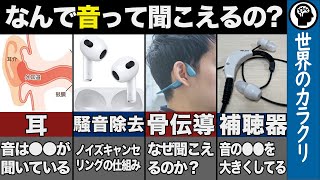 【人体】耳に関する仕組みを解説。ノイズキャンセリング、骨伝導、補聴器、すべてが分かる【ゆっくり解説】 [upl. by Annawit]