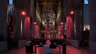 Pieter Heykoop  Nieuwjaarsconcert Laurenskerk Rotterdam 5 januari 2019 [upl. by Releehw]